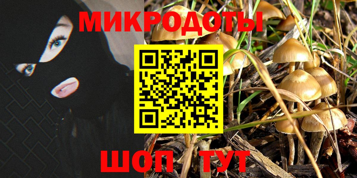 Всеволожск  Галлюциногенные грибы Psilocybine cubensis  Псилоцибиновые грибы Psilocybine cubensis  Вход с VPN 