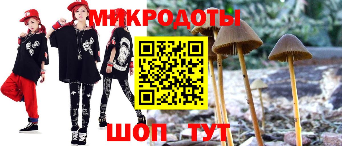 Галлюциногенные грибы Psilocybine cubensis Всеволожск